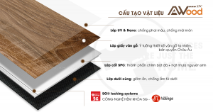 Cau_tao_awood_spc