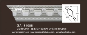 GA-81088.100