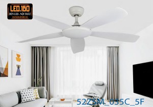 52ZSM_035C_5F