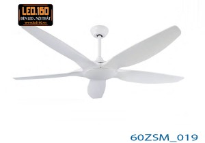 60ZSM-019