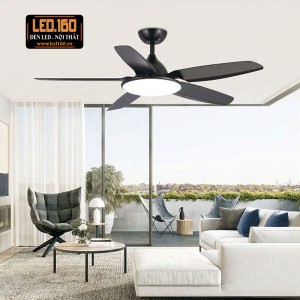 T52-530030BK