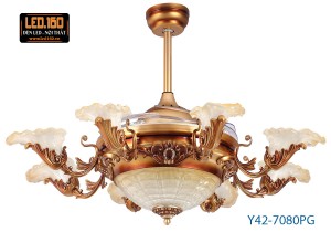 Y42-7080PG